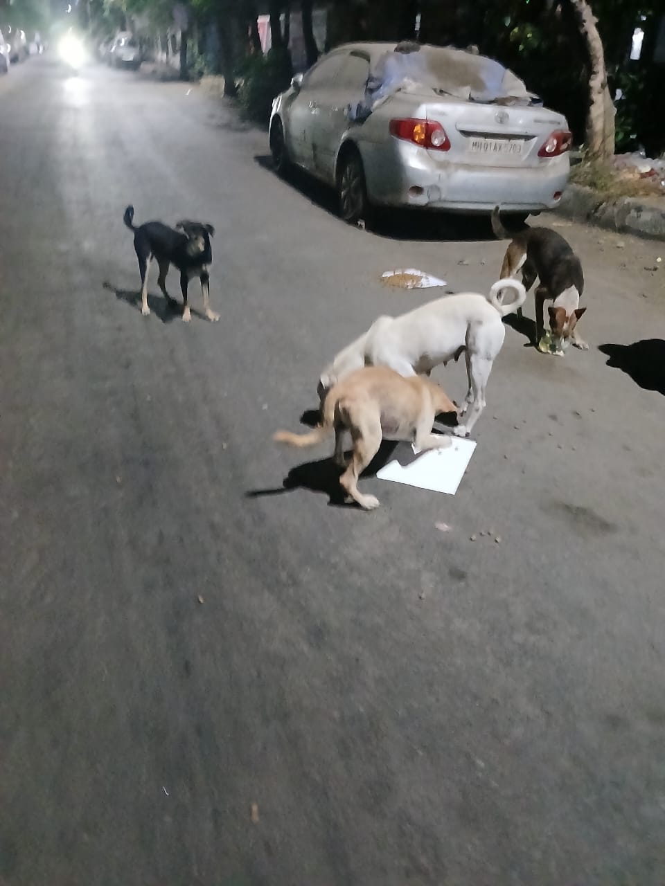 IMG-20250416-WA0208