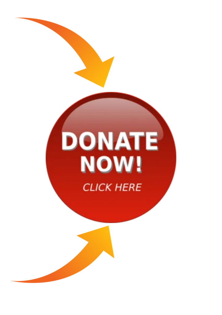 Donation Button